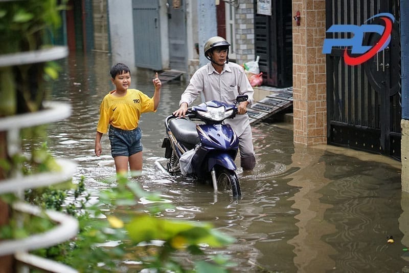 Ô nhiễm môi trường, nguy cơ dịch bệnh
